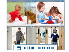 ip camera software with recording and playback