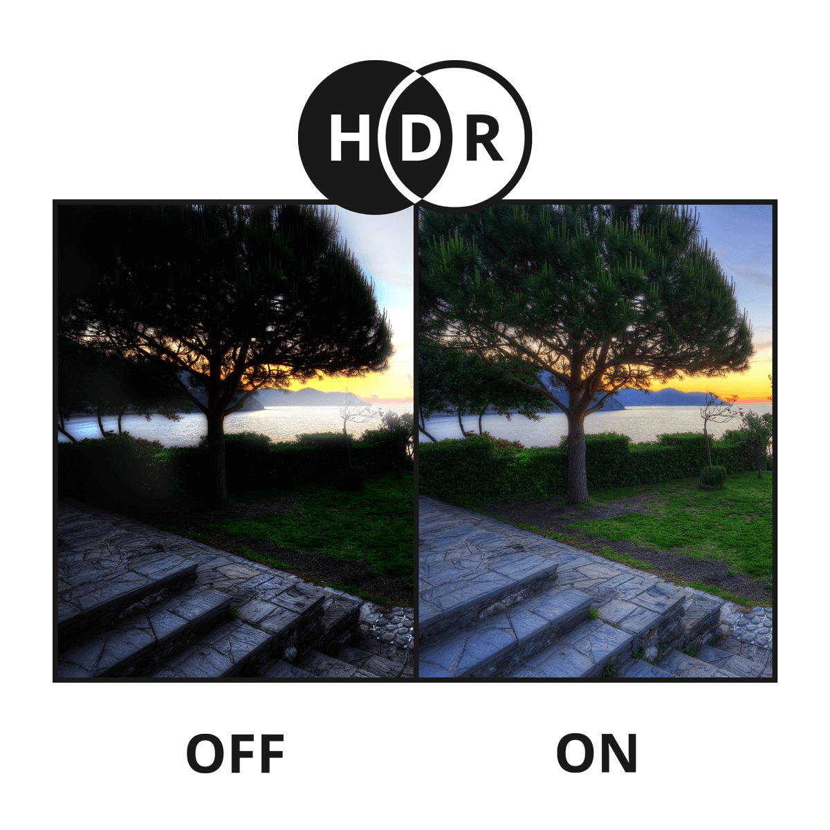 HDR nocturnal security camera