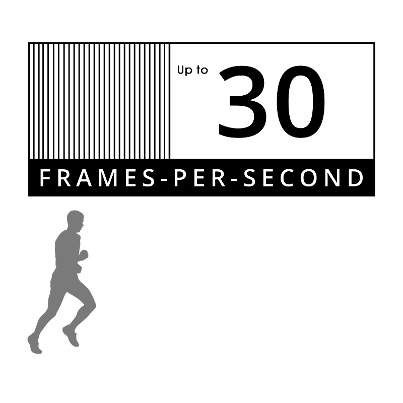 30 Frames Per Second real-time NVR recording